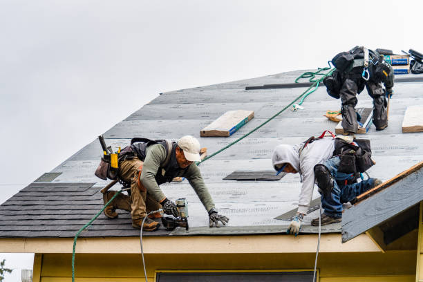 Professional Gutter Installation technician working in Plato, MN